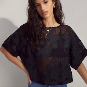 Aritzia WILFRED Embroidered Blayze Short Sleeve Blouse